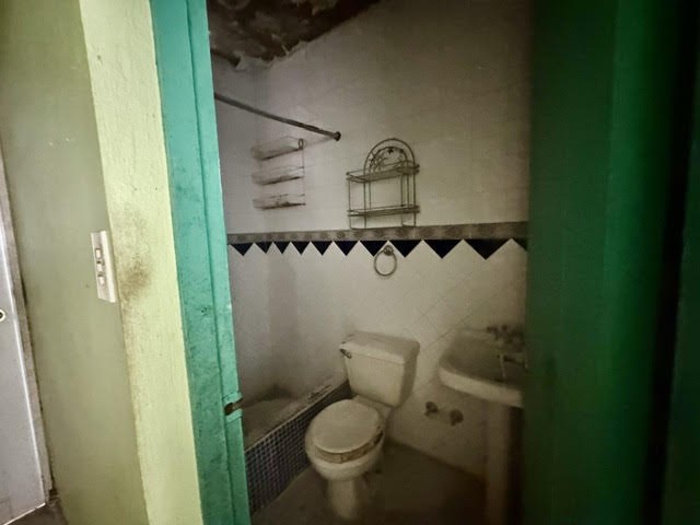 unnamed (8).jpg