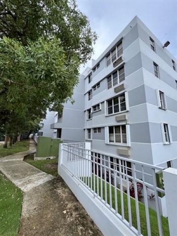 IMG_4906 Medium.jpeg