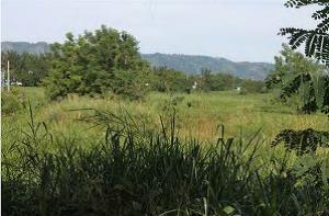 REO 3845 - Photo 7.jpg