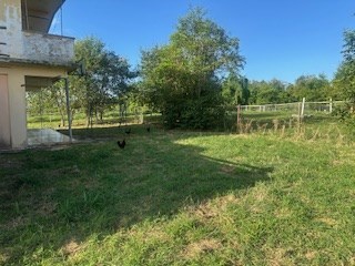 IMG_0659.jpeg