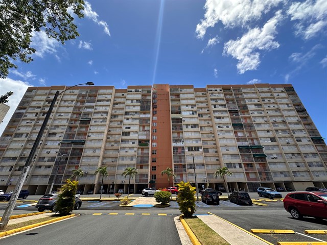 WhatsApp Image 2025-07-15 at 12.37.48 (1).jpeg