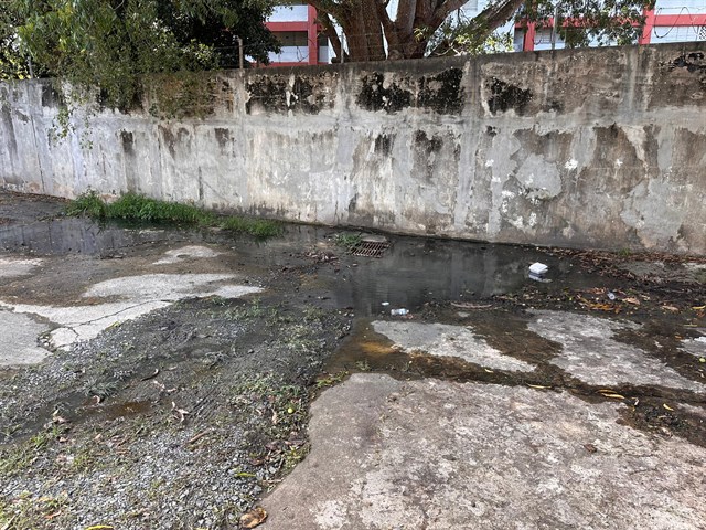 WhatsApp Image 2025-02-04 at 15.36.35.jpeg