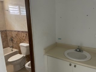 IMG_3072.jpeg
