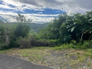 IMG_2284.jpeg