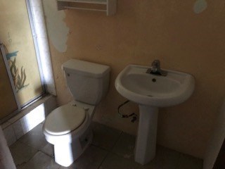 IMG_9509.jpg