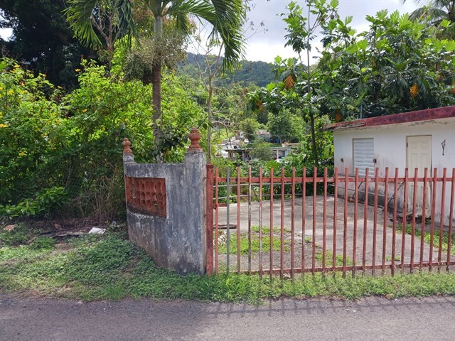 WhatsApp Image 2022-05-18 at 9.24.19 AM (4).jpeg