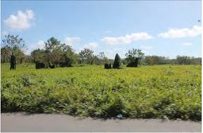 REO 3845 - Photo 2.jpg