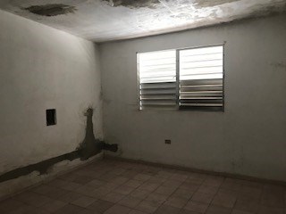 IMG_9517.jpg