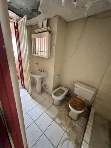 Photo 11-22-22, 10 43 29 AM Medium.jpeg