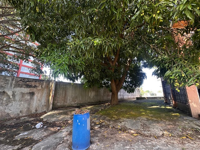 WhatsApp Image 2025-02-04 at 15.36.35 (1).jpeg