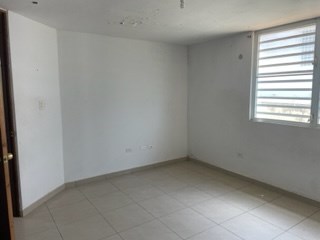 IMG_3071.jpeg