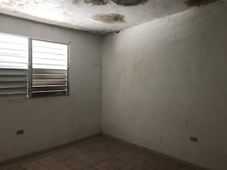 IMG_9518.jpg
