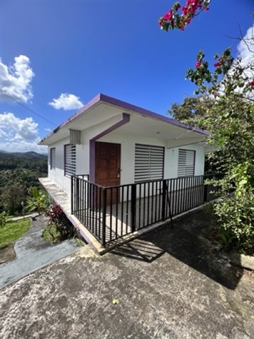 Photo 2-6-23, 1 33 02 PM Medium.jpeg