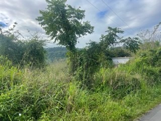 IMG_2287.jpeg