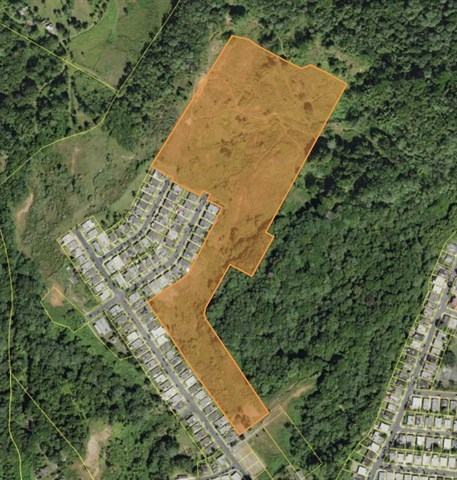 Screen Shot 2021-12-20 at 11.15.46 AM.jpg