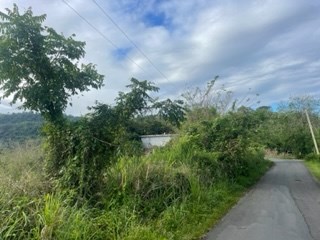 IMG_2288.jpeg