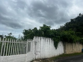IMG_9326.jpg