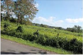 REO 3845 - Photo 4.jpg