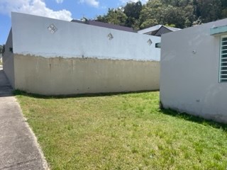 IMG_3058.jpeg