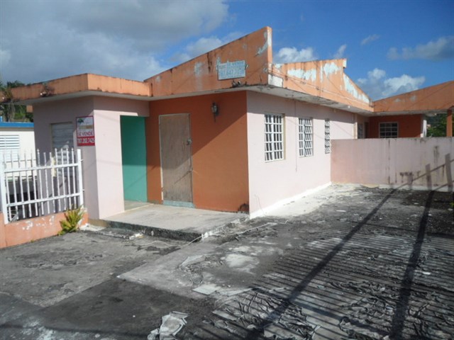 la linea.JPG