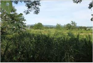 REO 3845 - Photo 8.jpg