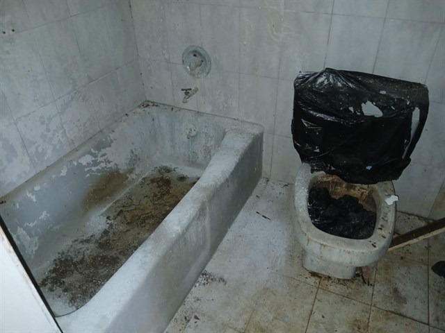 WhatsApp Image 2026-06-23 at 3.15.30 PM (4).jpeg