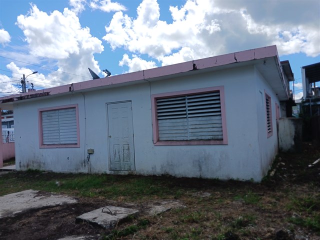 20231015_111659.jpg