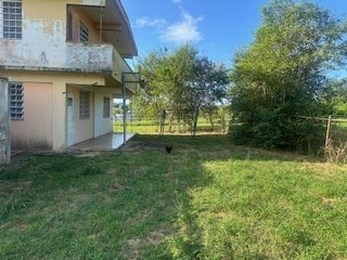 IMG_0660.jpeg