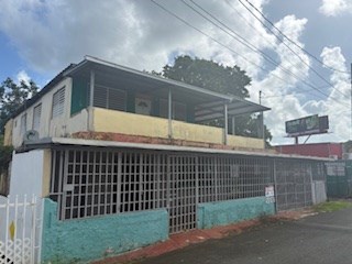 IMG_0395.jpeg