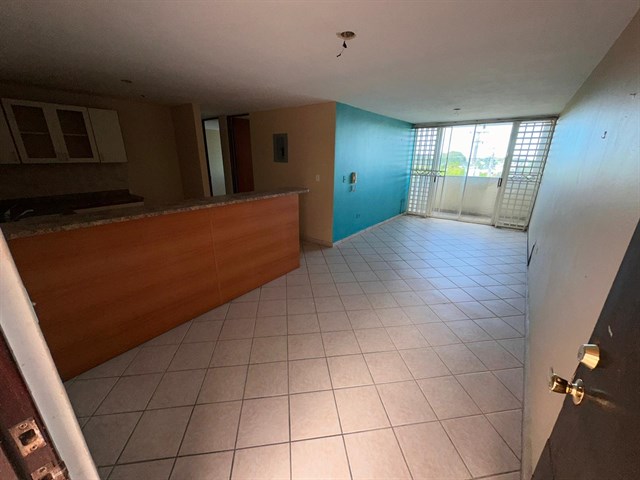 WhatsApp Image 2023-12-29 at 14.22.01.jpeg