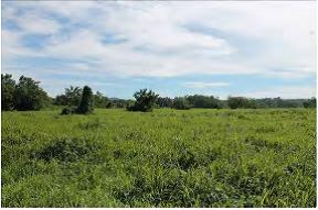 REO 3845 - Photo 5.jpg
