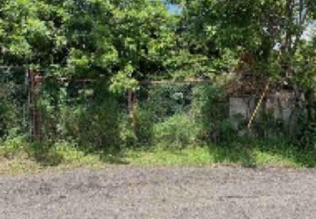 IMG_9703.jpeg