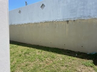IMG_3053.jpeg