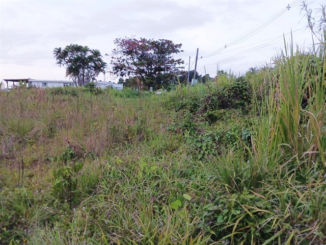 IMG-20230312-WA0007.jpg