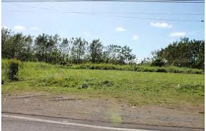 REO 3845 - Photo 9.jpg