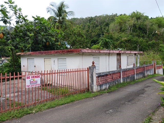 WhatsApp Image 2022-05-18 at 9.23.49 AM (2).jpeg