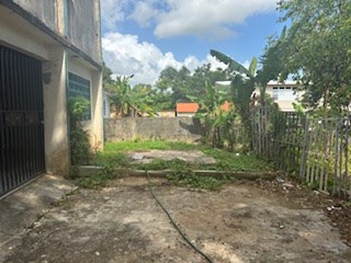 IMG_0427.jpeg