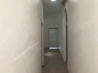 IMG_9516.jpg