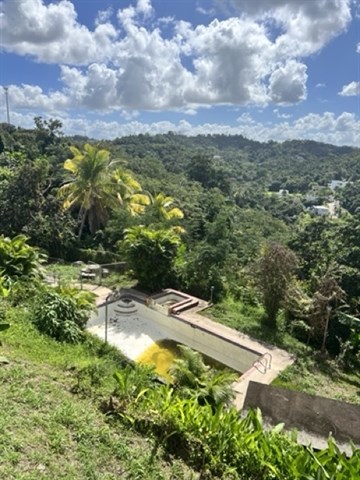 Photo 2-6-23, 1 33 57 PM Medium.jpeg