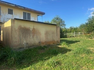 IMG_0658.jpeg