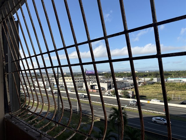 IMG_8864.jpeg
