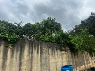 IMG_9328.jpg
