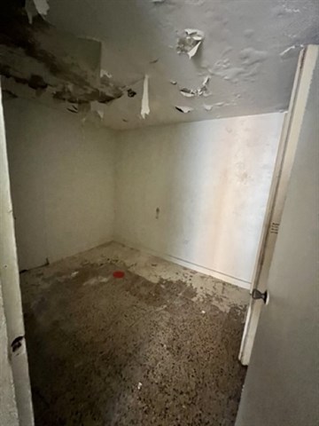 Photo 11-22-22, 10 44 20 AM Medium.jpeg