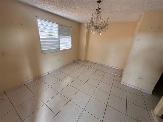 WhatsApp Image 2025-02-04 at 15.36.33.jpeg