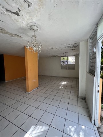 Photo 11-22-22, 10 43 01 AM Large Medium.jpeg