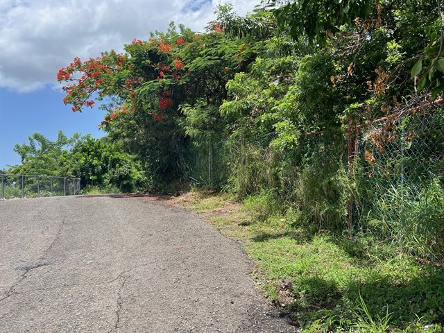IMG_9701.jpeg