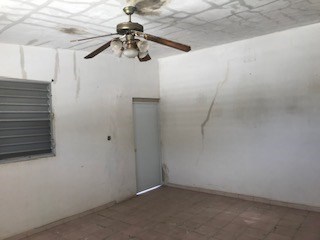 IMG_9526.jpg