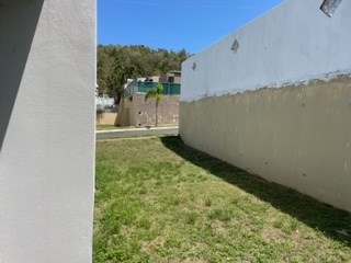 IMG_3054.jpeg