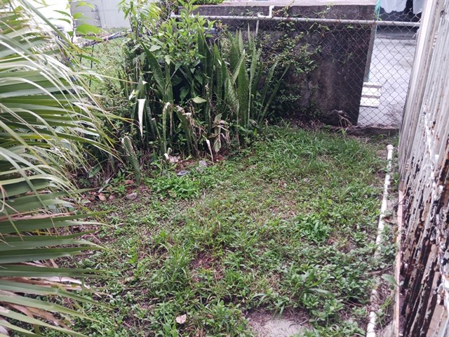 20230708_163228.jpg