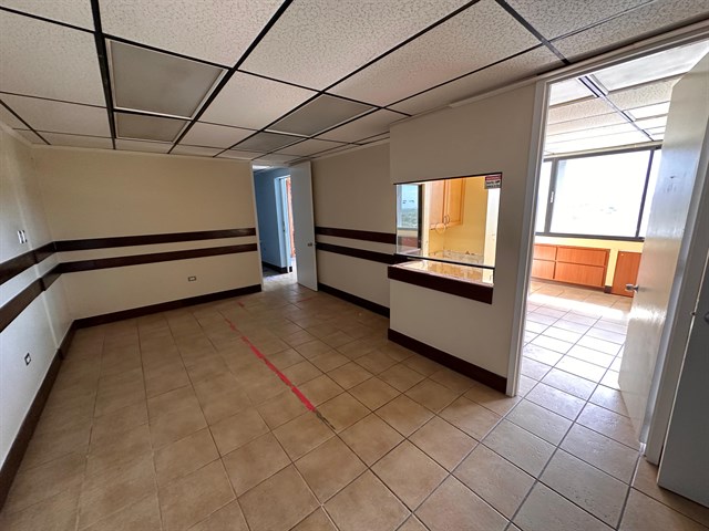 WhatsApp Image 2025-07-07 at 15.42.49.jpeg